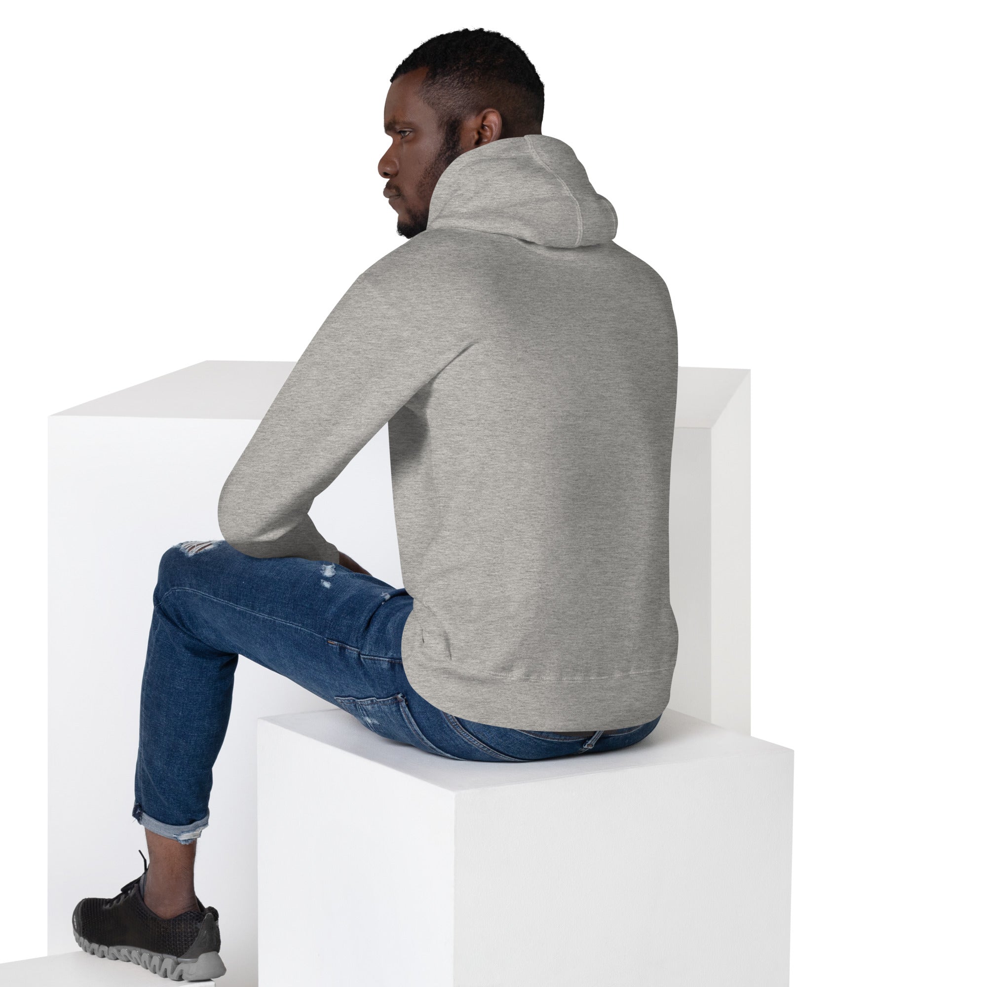FL-FIT Hoodie homme gris, vue de dos, capuche, assis sur cubes blancs, dos vierge
